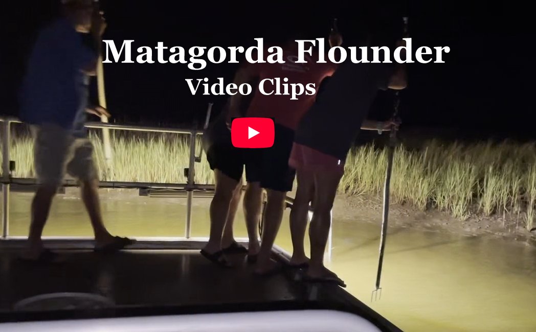 Matagorda Flounder video clips